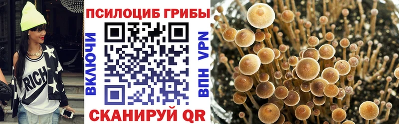 shop Telegram  Красный Сулин  Галлюциногенные грибы мухоморы  кракен вход 